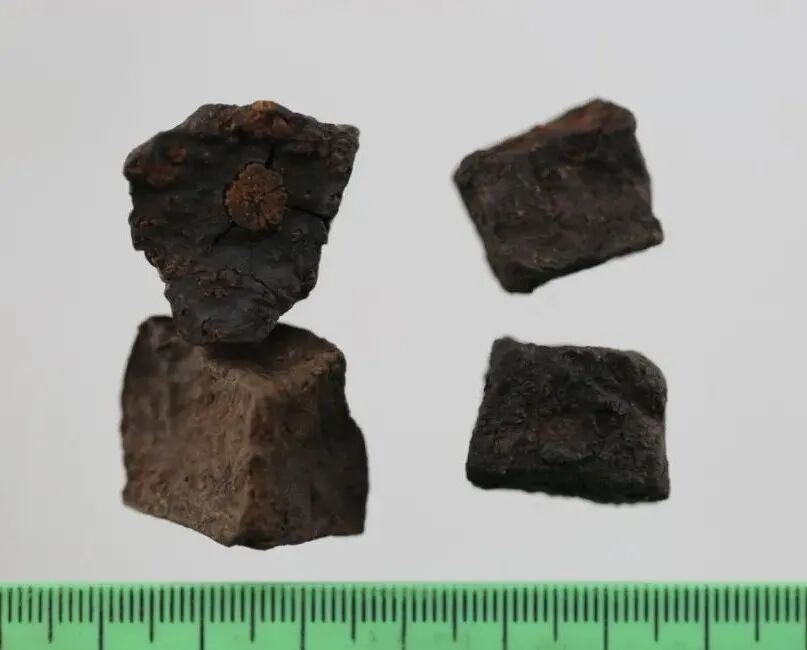 何首乌的样子图片？何首乌是云锦花纹还是左旋右旋？