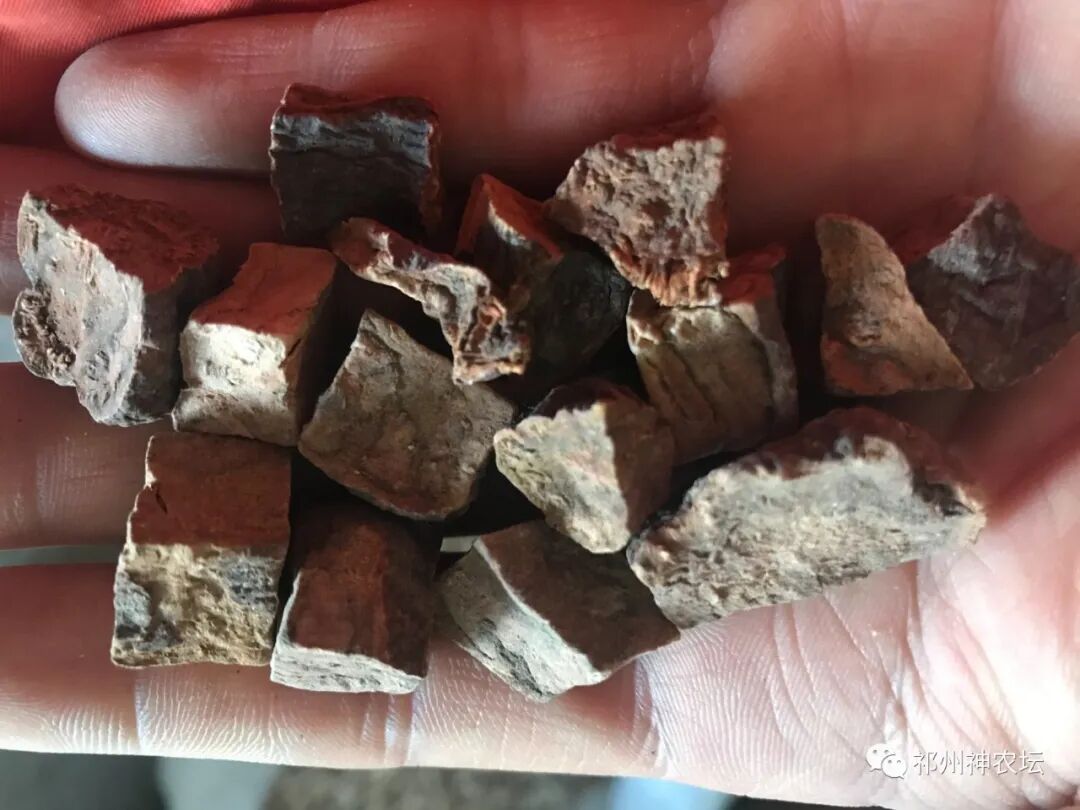 何首乌的样子图片？何首乌是云锦花纹还是左旋右旋？