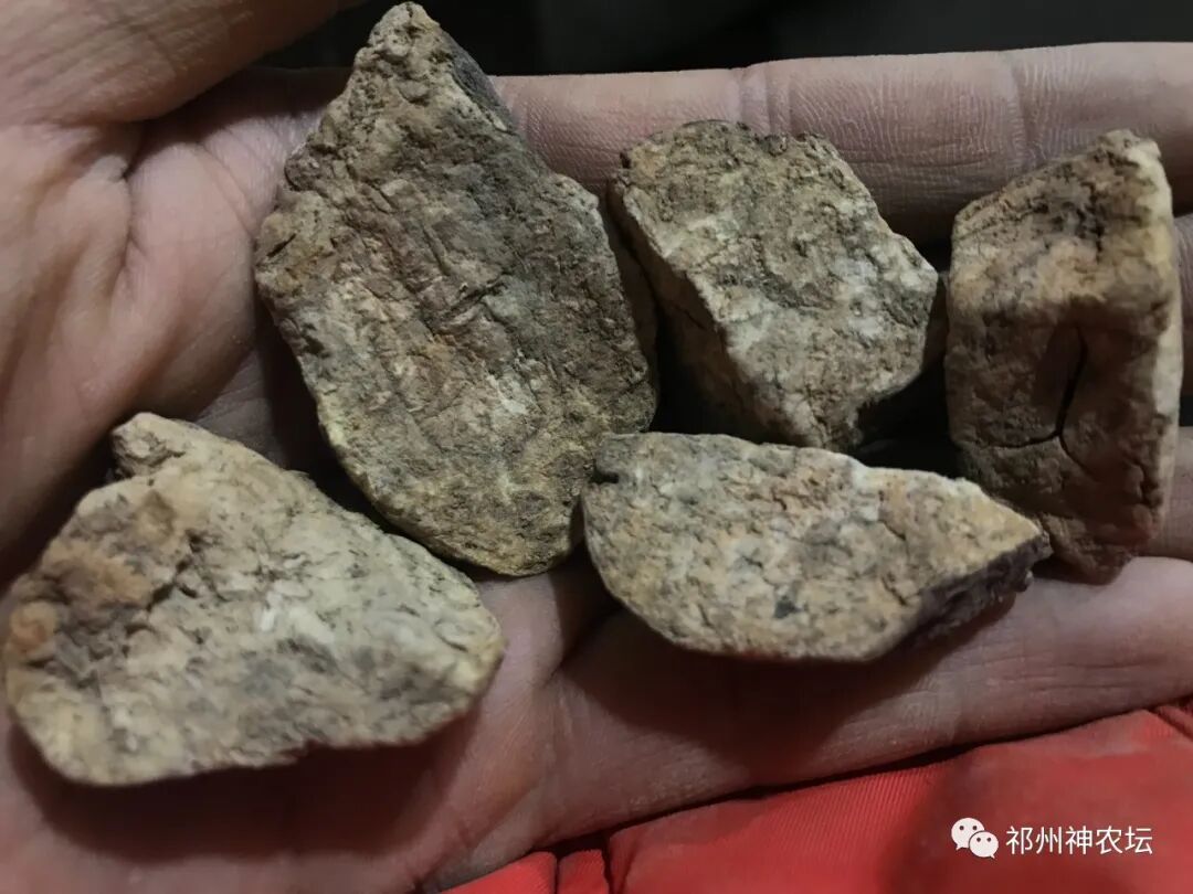 何首乌的样子图片？何首乌是云锦花纹还是左旋右旋？