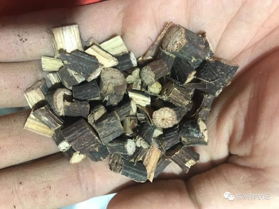 何首乌的样子图片？何首乌是云锦花纹还是左旋右旋？