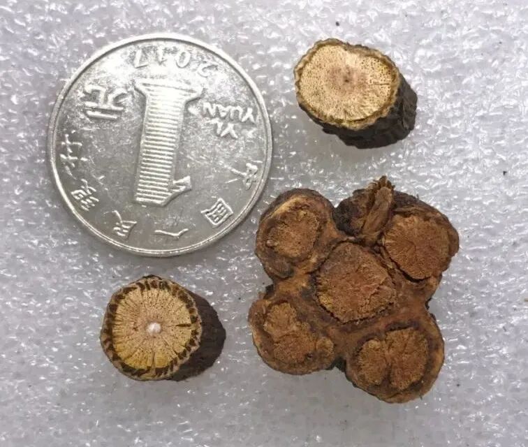 何首乌的样子图片？何首乌是云锦花纹还是左旋右旋？