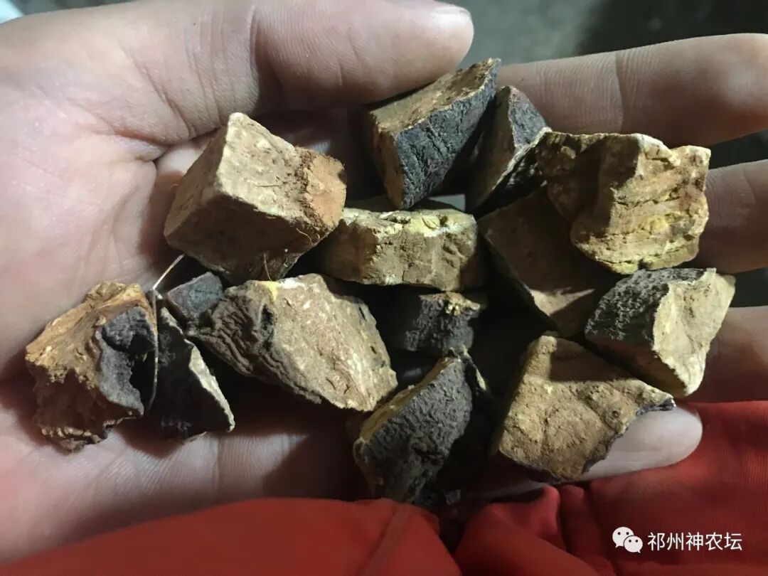 何首乌的样子图片？何首乌是云锦花纹还是左旋右旋？