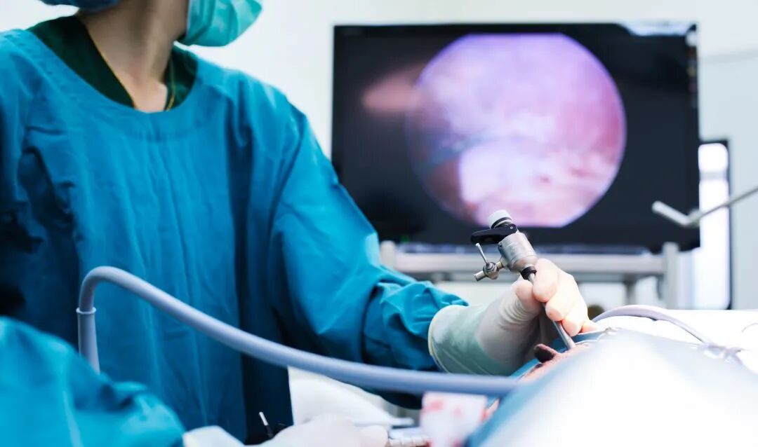 医用拍片机怎么消毒常用医疗器械清洁与消毒指南_https://www.jmylbn.com_新闻资讯_第2张