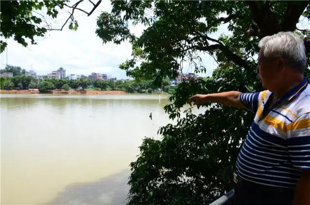 增城人家丨千年古村落西山村南山古胜美名扬蔡氏家风成佳话