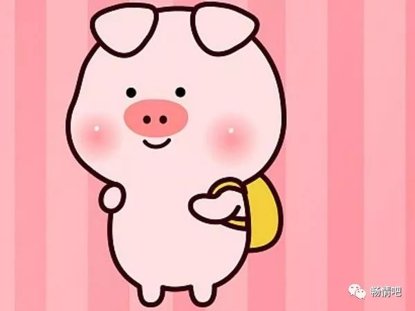 如何擺脫單身  心理測試：選你覺得最可愛的豬豬表情，測對方是否是真心愛你？ 未分類 第5張