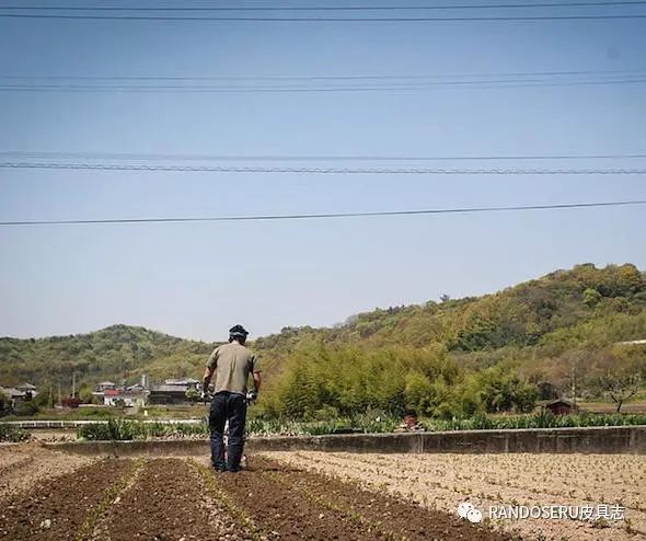 日本藍 我只服他 親自種植蓼藍 製造天然藍染 Randoseru皮具志 微文庫