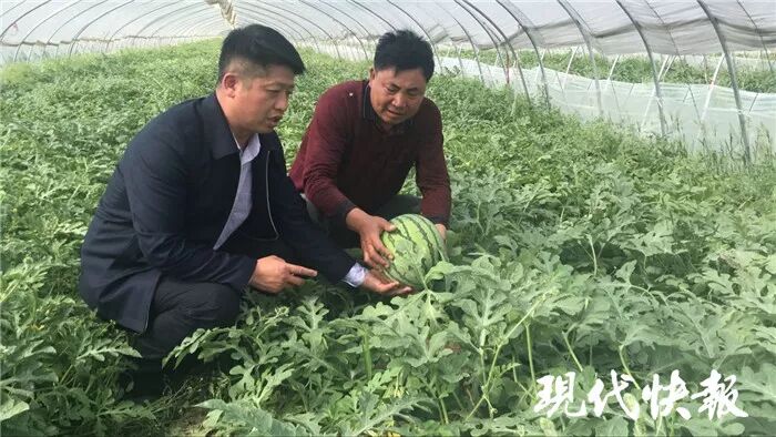 盐城一贫困村来了＂好人＂书记 废池塘成致富香饽饽