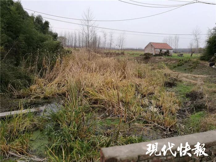 盐城一贫困村来了＂好人＂书记 废池塘成致富香饽饽