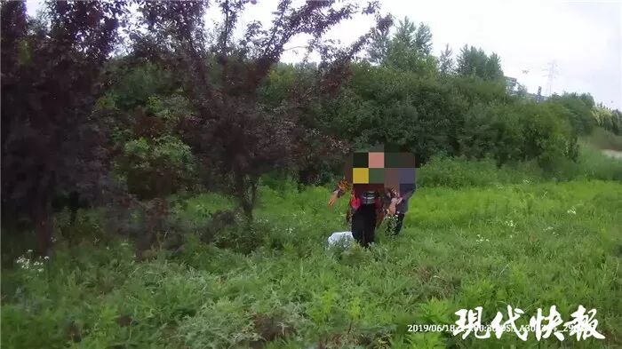 两位老人在高速应急车道停三轮车 还翻越护栏