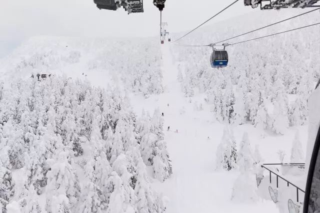 日本絕讚秘境！粉雪天堂、林中溫泉還有米澤和牛，這個冬天沒人比你會玩~ 旅遊 第21張