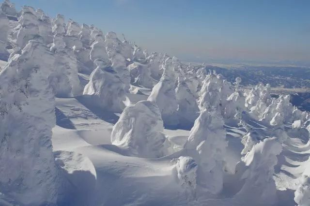 日本絕讚秘境！粉雪天堂、林中溫泉還有米澤和牛，這個冬天沒人比你會玩~ 旅遊 第23張