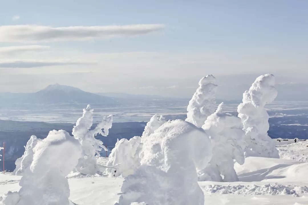 日本絕讚秘境！粉雪天堂、林中溫泉還有米澤和牛，這個冬天沒人比你會玩~ 旅遊 第4張