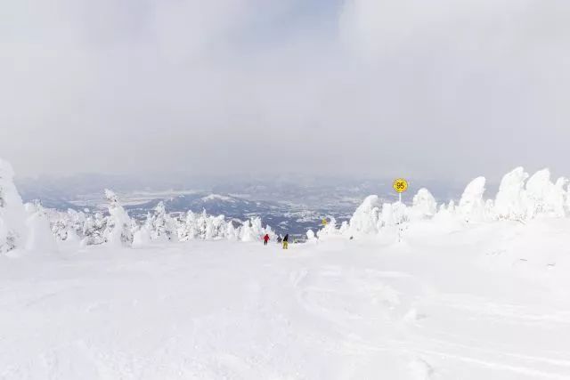 日本絕讚秘境！粉雪天堂、林中溫泉還有米澤和牛，這個冬天沒人比你會玩~ 旅遊 第19張