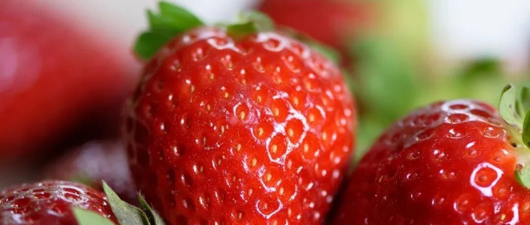 到底什么是“出血热”？如何预防？“吃草莓会导致得出血热”?专家辟谣！