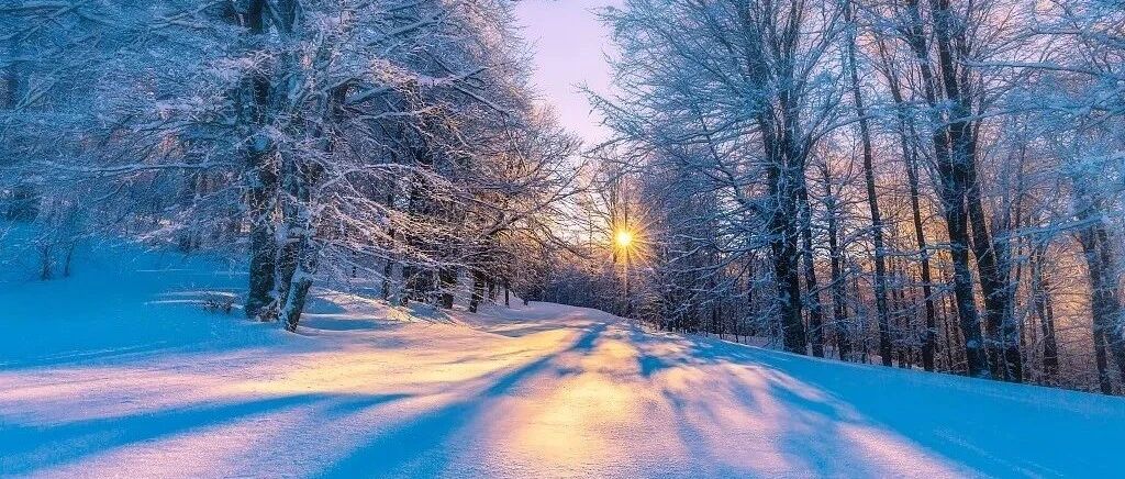 【大雪】人生四季皆风景，雪落时节又逢君
