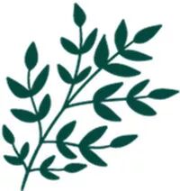 轻钢别墅 颠覆传统建筑模式 迎合时代的快速发展