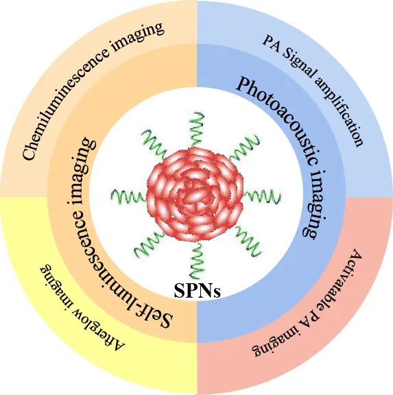 南京大学蒋锡群-甄叙团队系统评述：半导体共轭聚合物光学探针的设计及在自发光成像和光声成像中的应用的图1
