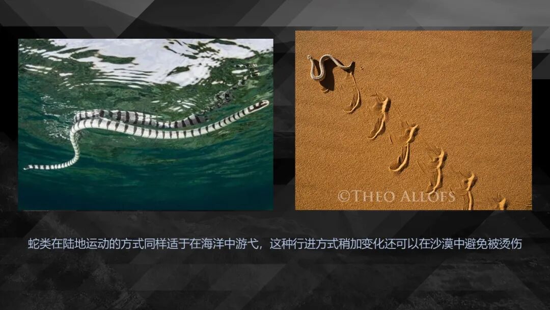 10种食物改变瞳孔颜色_10种食物改变瞳孔颜色_10种食物改变瞳孔颜色