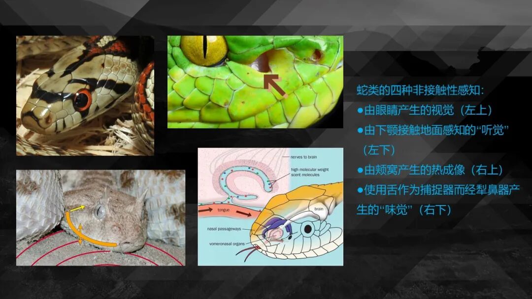 10种食物改变瞳孔颜色_10种食物改变瞳孔颜色_10种食物改变瞳孔颜色