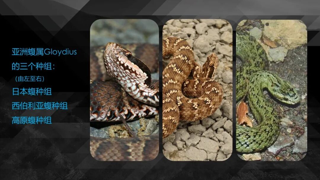 10种食物改变瞳孔颜色_10种食物改变瞳孔颜色_10种食物改变瞳孔颜色