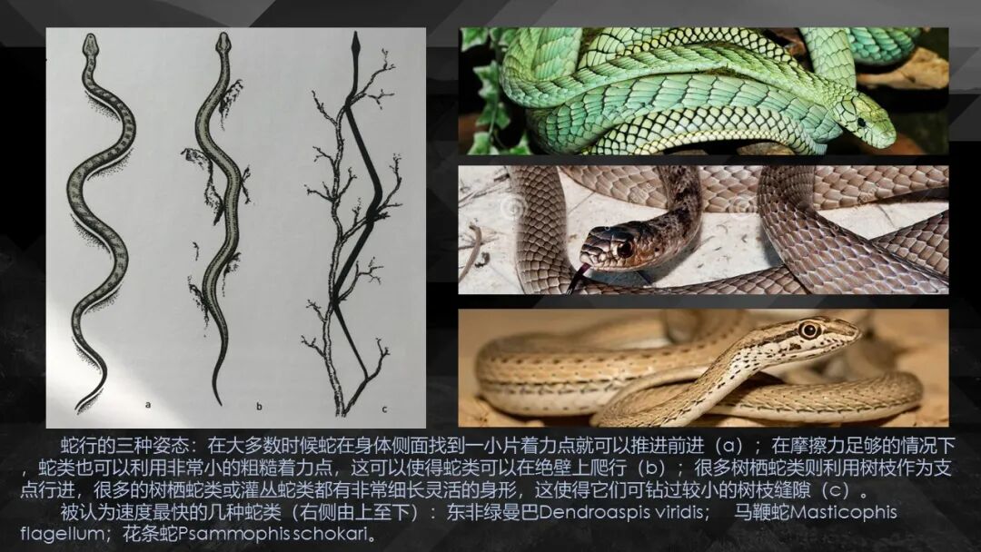 10种食物改变瞳孔颜色_10种食物改变瞳孔颜色_10种食物改变瞳孔颜色