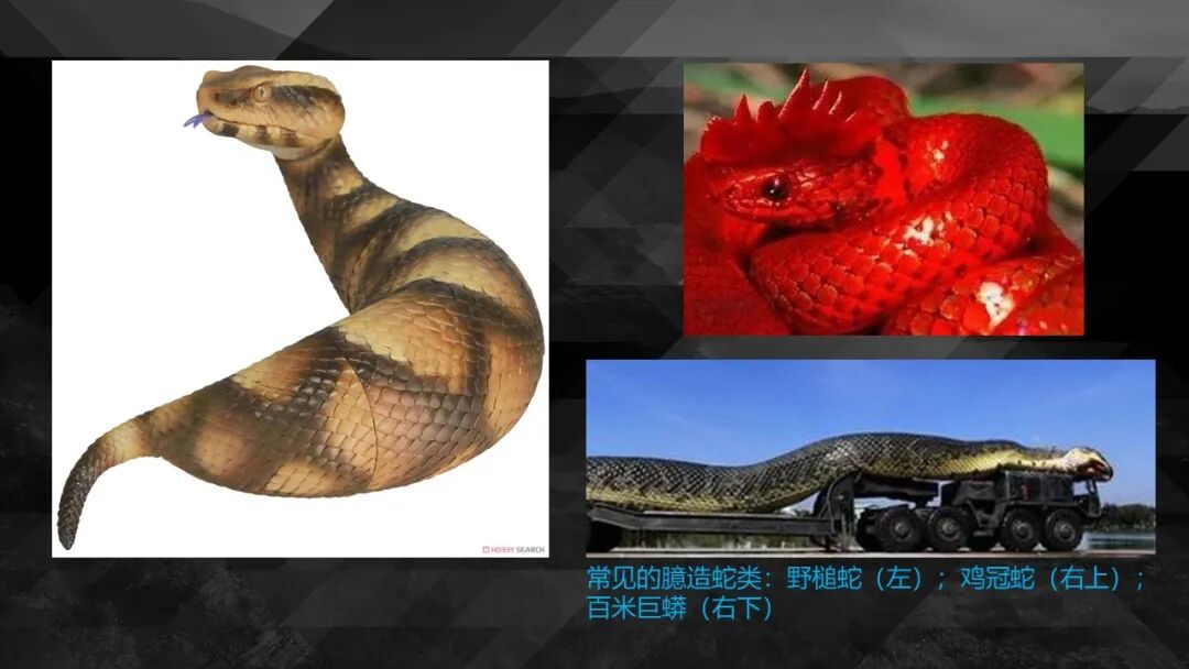 10种食物改变瞳孔颜色_10种食物改变瞳孔颜色_10种食物改变瞳孔颜色