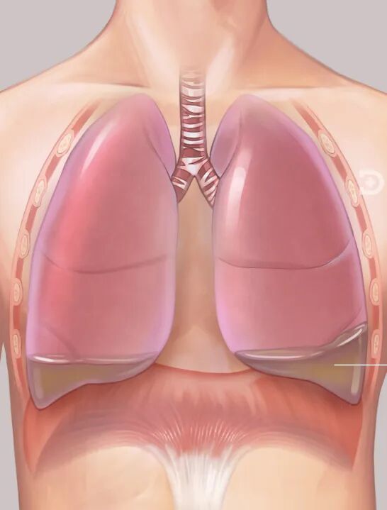 微波针是什么广药三院丨微波消融，一根针、10分钟肿瘤定点清除_https://www.jmylbn.com_新闻资讯_第3张
