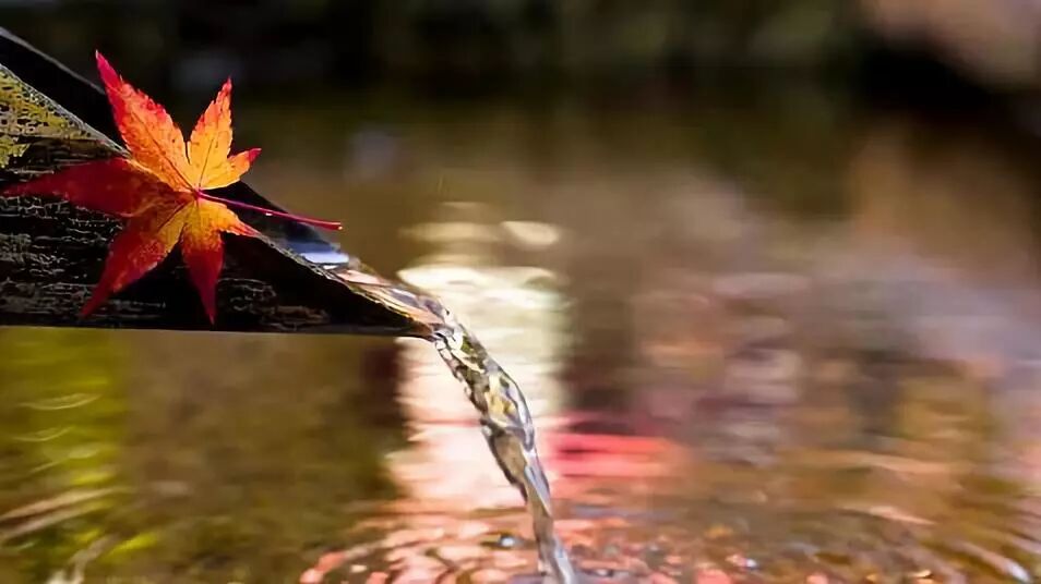 等风等雨，等你来喝黑茶