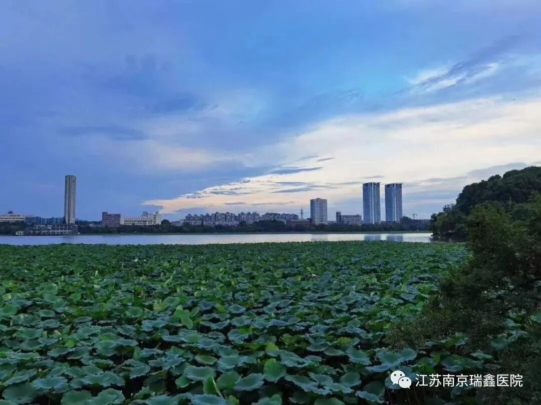 中进轮椅怎么样轮椅南京行活动报名正在进行中，大家快点行动起来吧！_https://www.jmylbn.com_新闻资讯_第17张