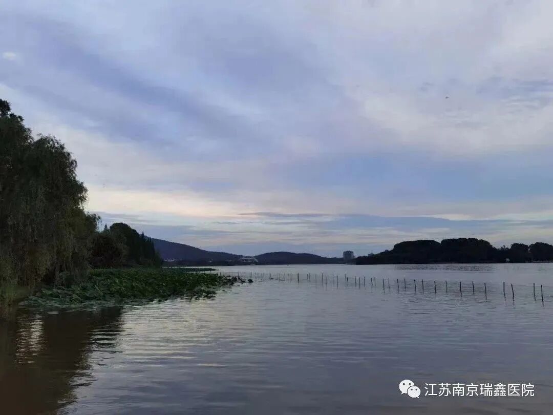 中进轮椅怎么样轮椅南京行活动报名正在进行中，大家快点行动起来吧！_https://www.jmylbn.com_新闻资讯_第19张