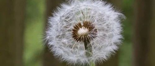 做人的底线：不忘恩情，不失诚信，不伤人心！