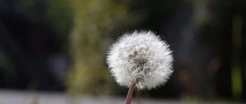 眼宽容景，心宽容事