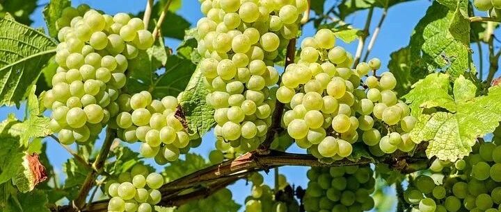 做人，贵在醒悟！（瞬间领悟）