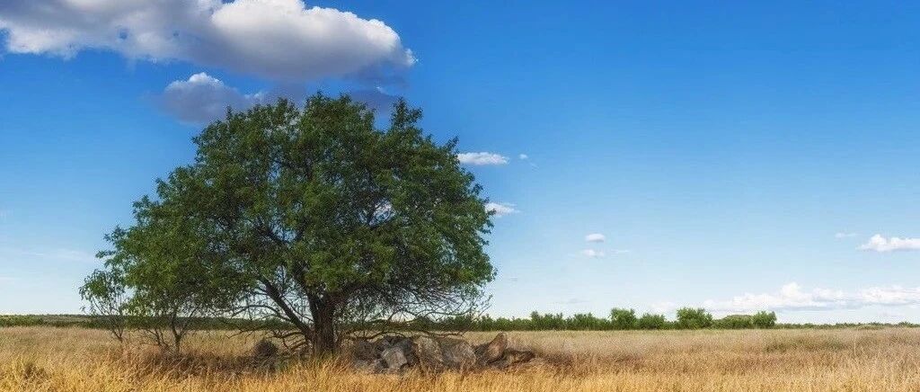 做人有8度，你有几度？