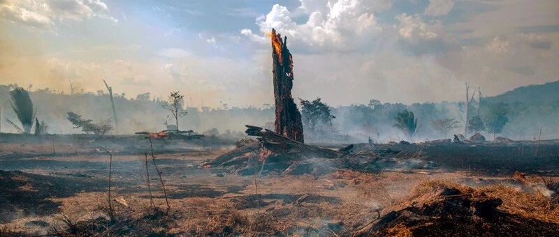 487万亿碳中和新赛道，绿色智能产业互联网“破茧”