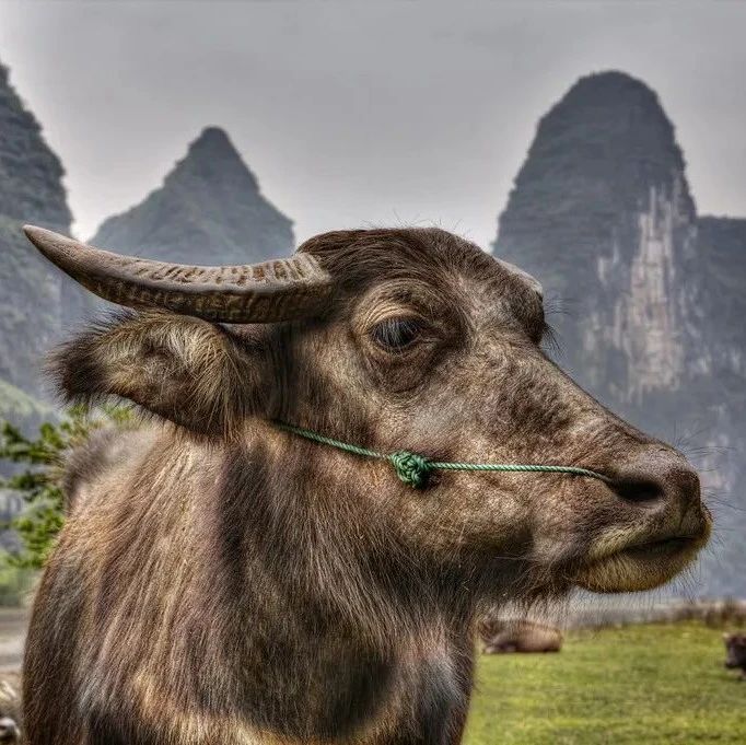 过去五年十倍股的诞生 和 未来十倍股的选择