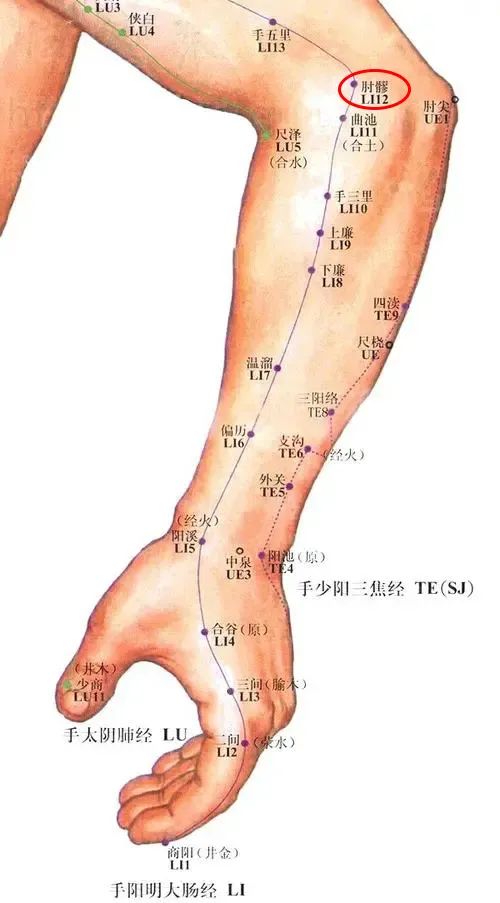 针灸——肘髎穴