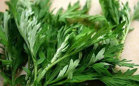 膝盖骨痛有救了，家有腰腿疼痛的人，记得存起来