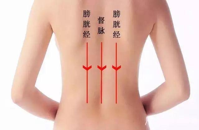 古法经络|养背就是养阳，养阳就是养命！