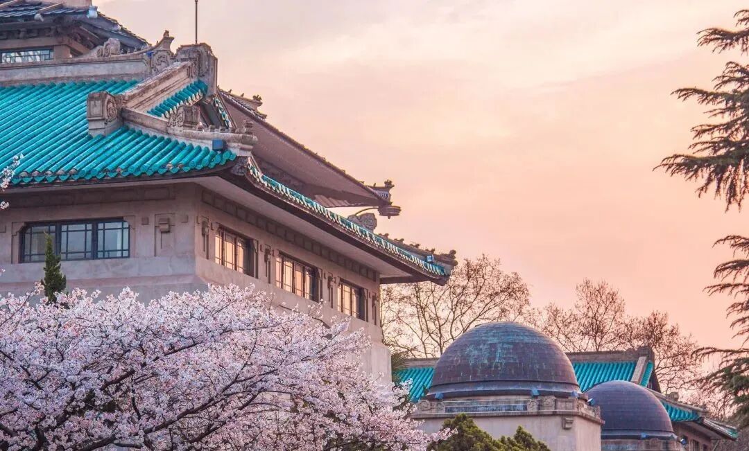 我国哪些城市最适合读大学!