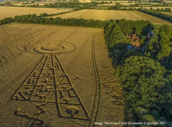 8月17日麦田怪圈被破解新时代已经到来 自由微信 Freewechat