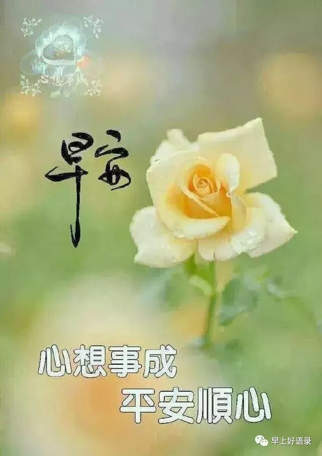 2019年最新早安祝福图片带字 清晨祝福早安的最美图片 早上起床发个心情说说 早上好语录 微信公众号文章阅读 Wemp