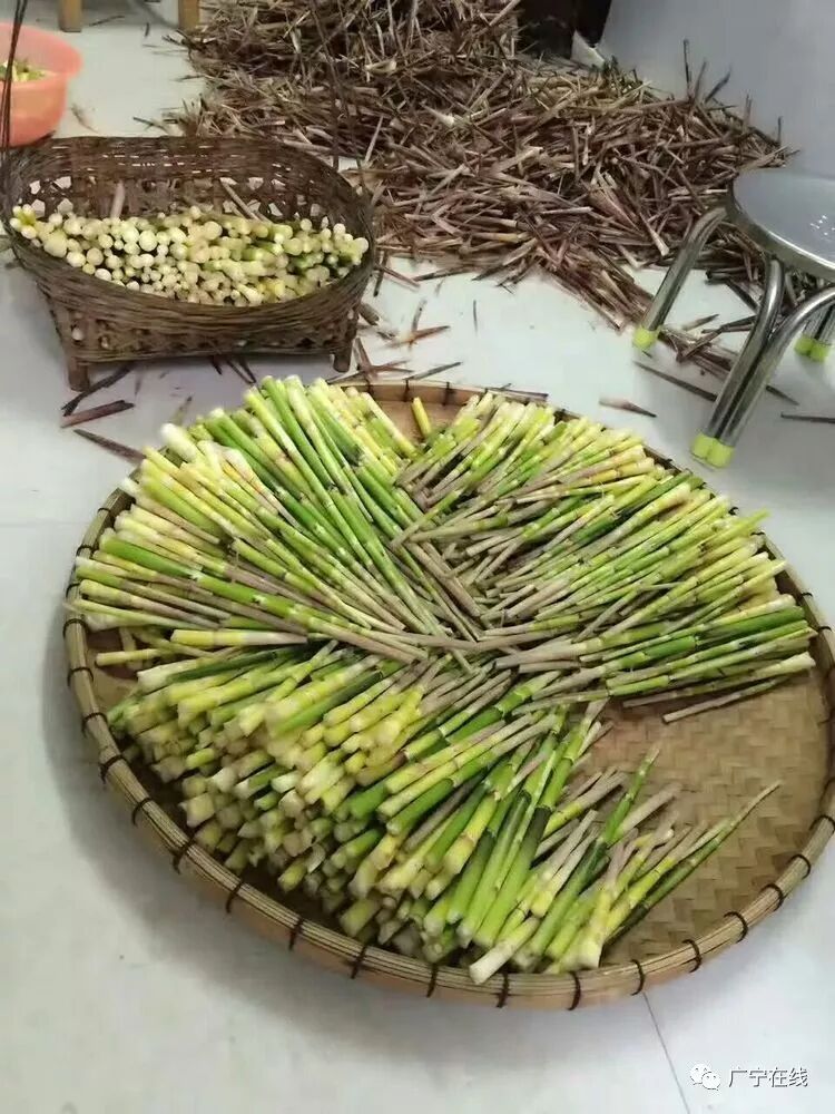 广宁清桂"甜笋子"!正!正!正!