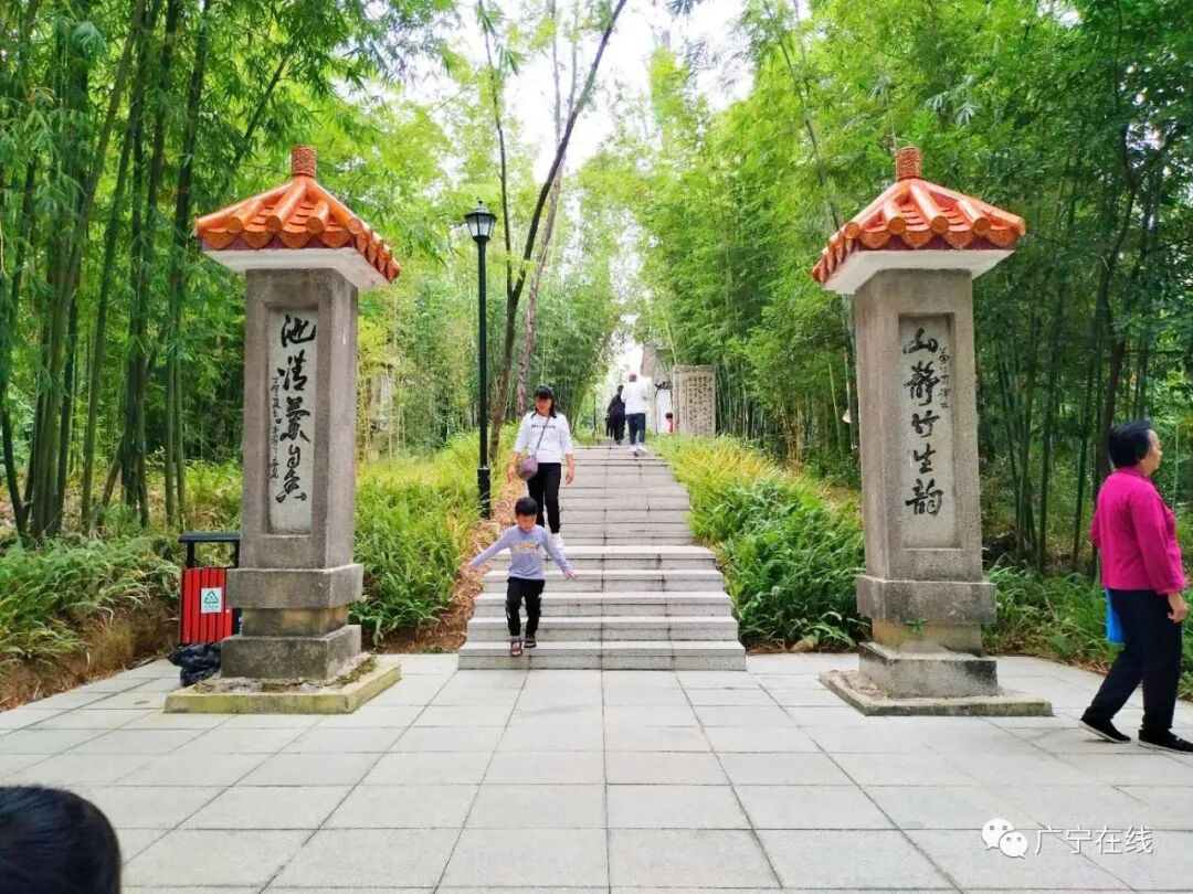 重阳节广宁万竹园翠竹公园现场