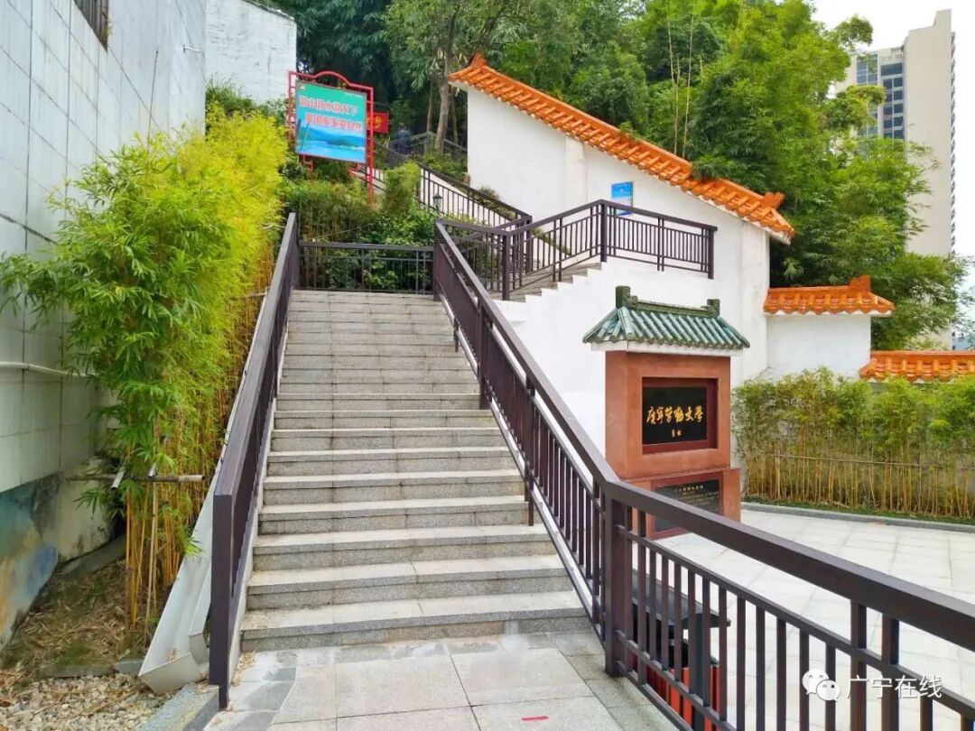 重阳节广宁万竹园翠竹公园现场