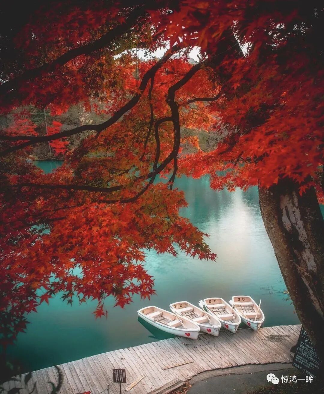 20张大师级别的摄影作品看看人家的构图