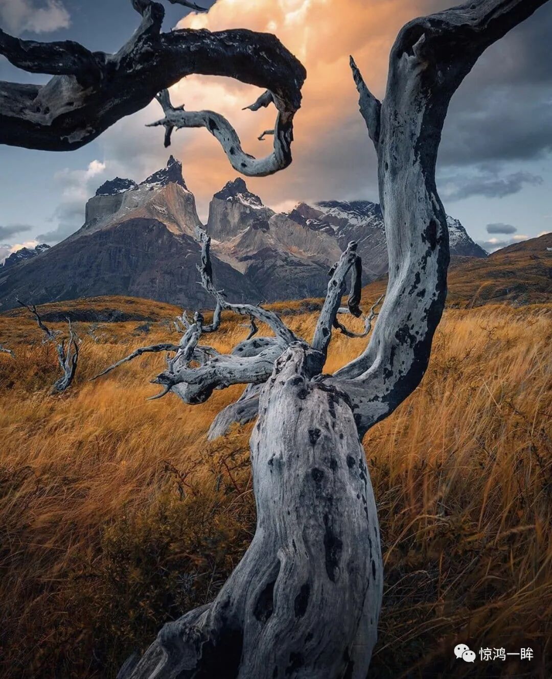 20张大师级别的摄影作品看看人家的构图