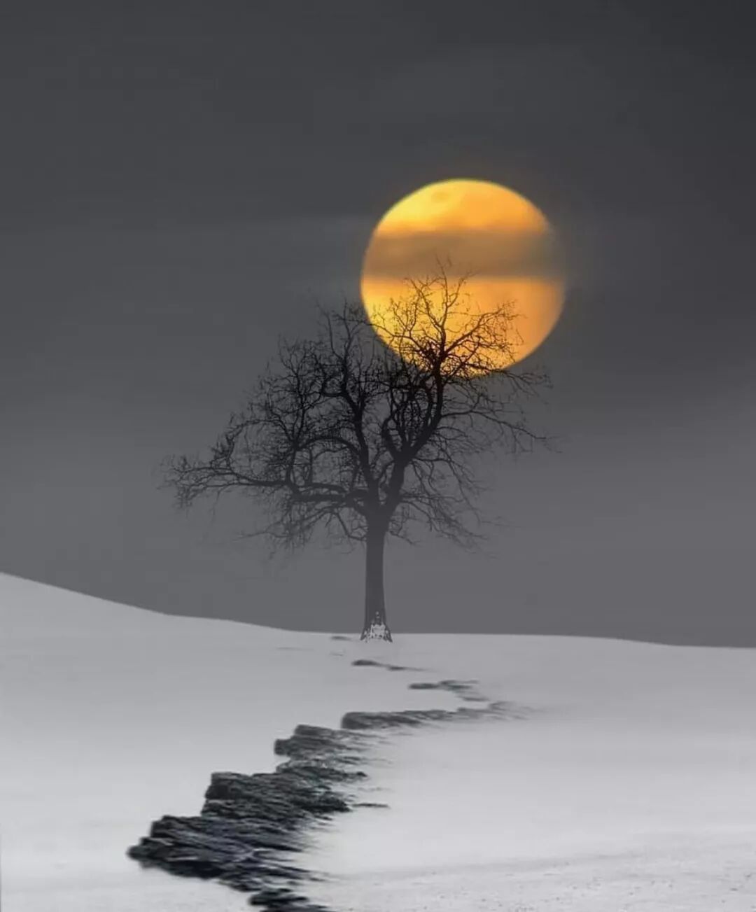 大师级摄影作品美到沉醉