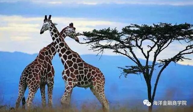 3mlittmann怎么传3M口罩背后的3M是什么神仙公司，创新能力仅次苹果和谷歌！_https://www.jmylbn.com_新闻资讯_第10张