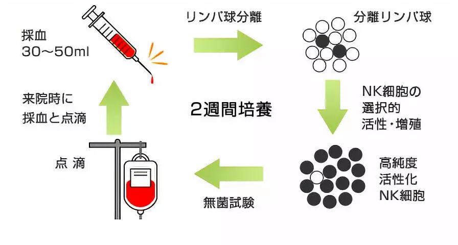 6park Com 最新公布 日本获批的细胞免疫疗法名录 快收藏